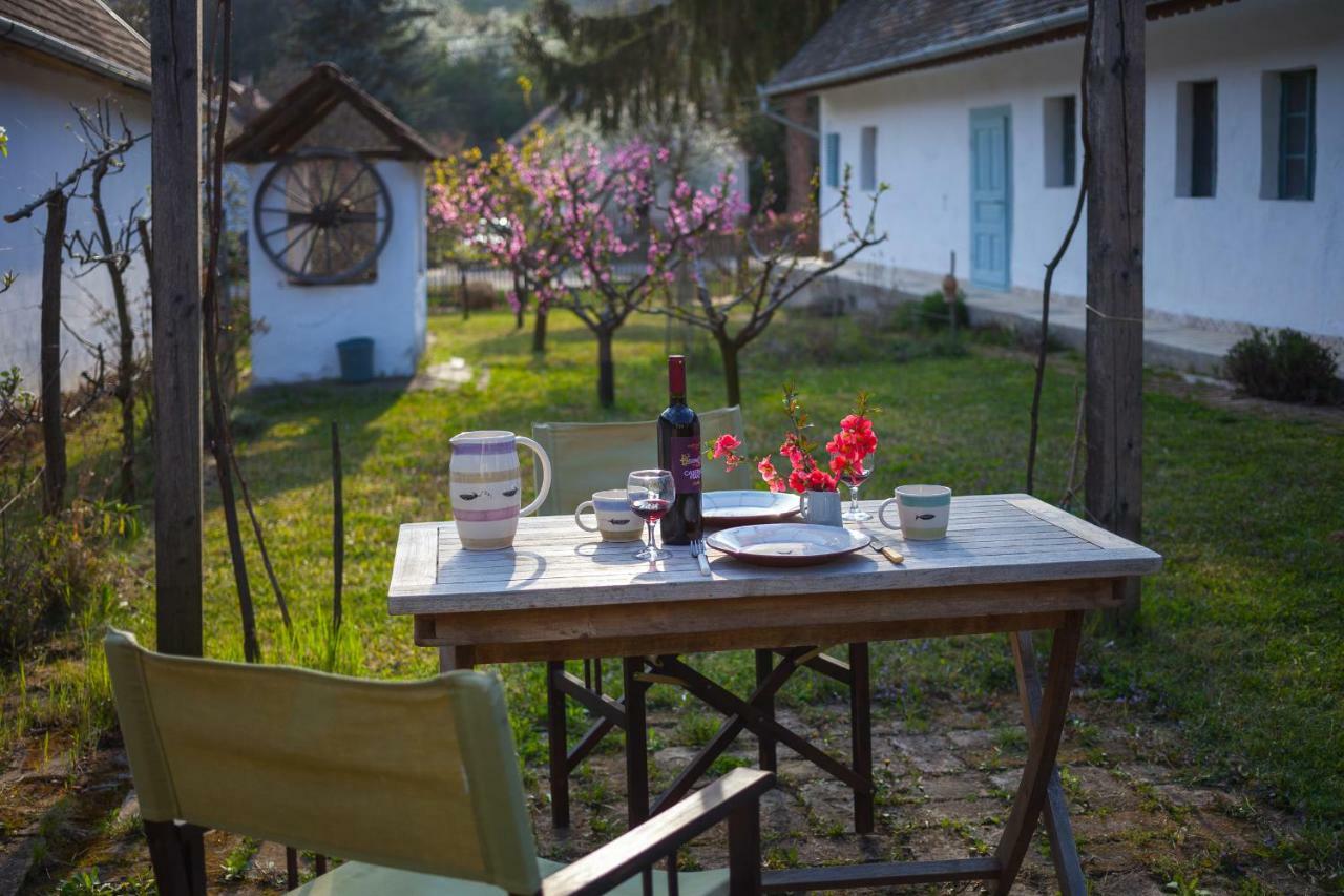 Szálkai Vályogház Vendégház Apartamento Exterior foto